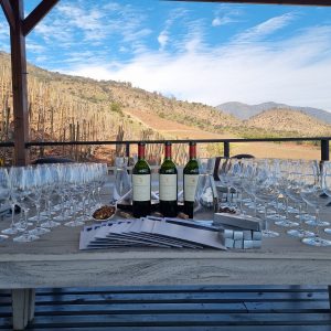 Viña El Principal Churrasco